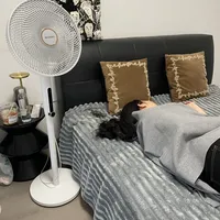 用了一个月风扇，忍不住说两句