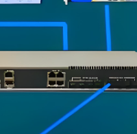 公网IPv4太贵太难搞？教你用蒲公英IPv6轻松实现高性能组网！