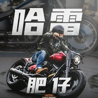 哈雷戴维森Fat Boy：从文化符号到技术进化的硬汉图腾