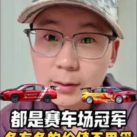 赛车场上的双雄对决：领克03与艾瑞泽8的赛事技术路线差异