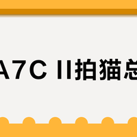索尼A7C II拍猫总脱焦？不是相机偏心，是你家主子太难搞