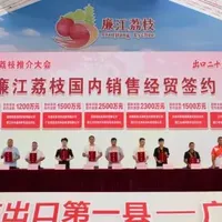 廉江荔枝出口20周年：签约超3亿元 全国每5颗出口就有1颗姓“廉”