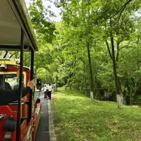 杭州西溪免费遛娃天花板！1天3地不费妈路线