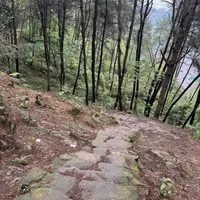 重庆徒步｜茶园直达龙井山步道🌿新手零难度