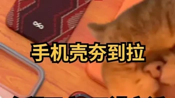 iPhone 17 Pro Max手机壳选购评测：六款产品材质与防护深度对比
