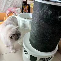 宠物空净别乱买！三招教你避开“吸毛摆设”，选对才真管用