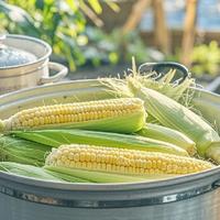 婴幼儿零食和成人强化食品，营养标准差在哪？