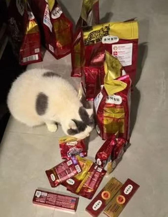 弗列加特猫咪干粮