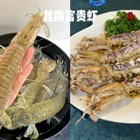 网红“海鲜刺客”真相：菠萝虾根本不值百元高价