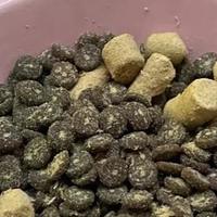 蓝氏猫粮软便争议真相：高蛋白不是锅，肠胃敏感才要选对款