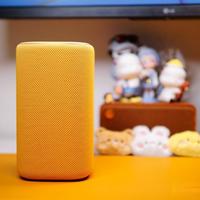 小米音箱真香？只对米家用户！混搭家电慎入