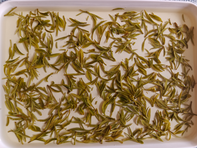 绿茶