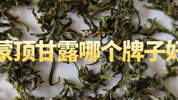 四川蒙顶甘露怎么选？蒙顶山茶业/跃华/无我茶社推荐