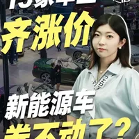 15家车企齐涨价，新能源车告别价格战
