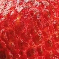 夏天的“荔枝王炸弹”我吃到了！鸡蛋大的海南荔枝。