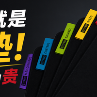 选对就是神垫！但也是真的贵。雷蛇 巨甲虫V2 专业版