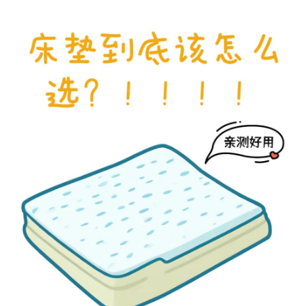 2026护脊床垫推荐：中老年适合选什么床垫？腰背不舒服怎么选床垫