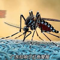预警！今年的蚊子迎来“史诗级”加强，不仅来的早、数量多，还格外狡猾。普通花露水、蚊香效果大减