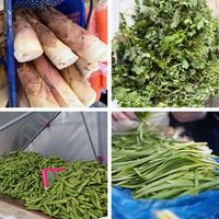 春笋价格腰斩！多地跌破5元，吃笋自由终于来了