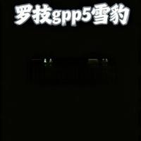 罗技GPW5雪豹故障解析与维修指南