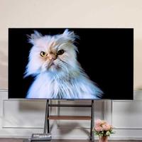 TCL T7M Pro，不同场景都能打