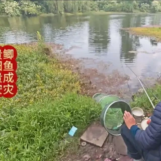 贵阳贵安野钓探路：鲫鱼成灾的免费停车钓点全解析