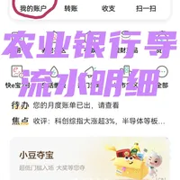 农业银行导流水明细！亲友互转无效。