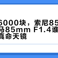 预算差6000块，索尼85GM二代和适马85mm F1.4谁才是你的人像真命天镜？