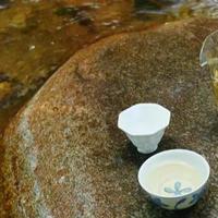 新手选盖碗别踩坑：110ml白瓷薄胎大撇口才是真香