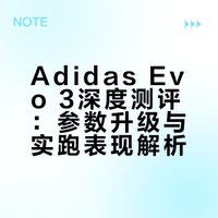 Adidas Evo 3初上脚