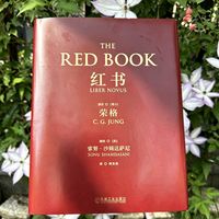 525以心赴成长,从荣格《红书》窥见当下校园心理教育
