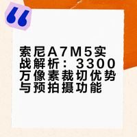 裁切自由，时光倒流：索尼A7M5治好拍鸟焦虑
