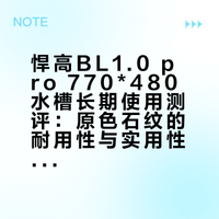 ✅悍高BL1.0 pro 770*480 真实使用感受