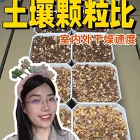 多肉颗粒土配比干燥速度实测：室内外对比与养护启示