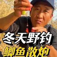 冬季野钓鲫鱼：虫饵搭配散炮的爆护技巧