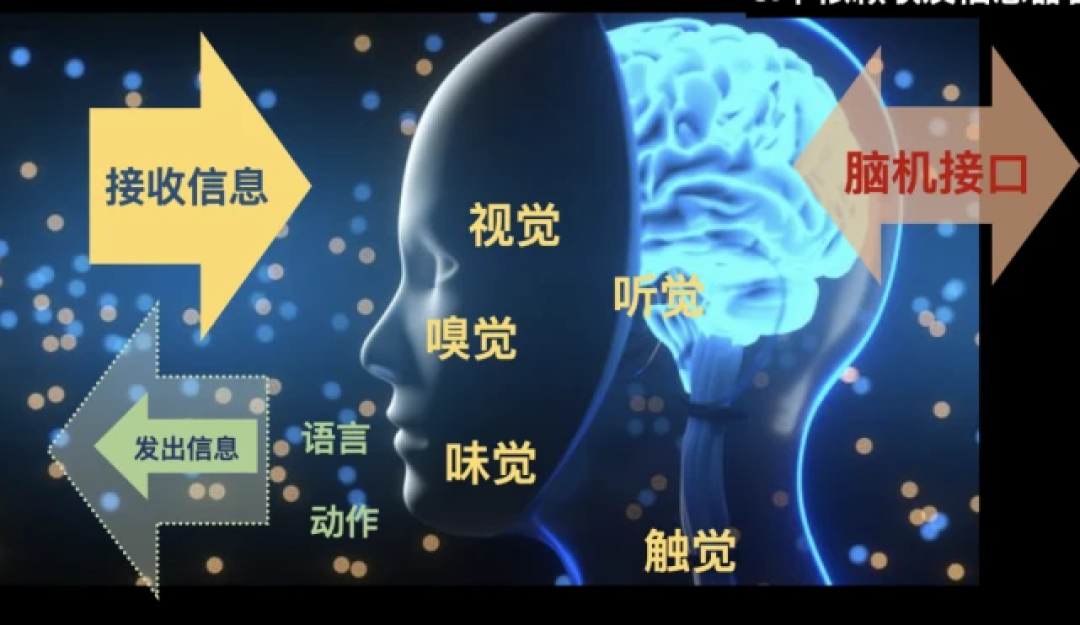 赛博人类现世！脑机接口，让百万患者意念控物重获自由
