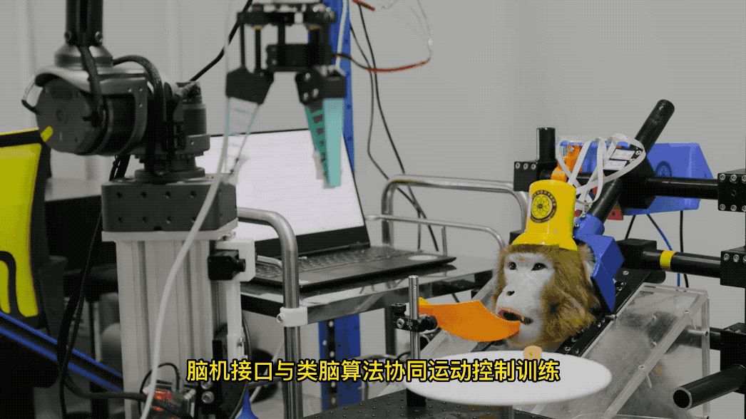 赛博人类现世！脑机接口，让百万患者意念控物重获自由