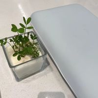 菲也生活4款儿童枕材质横评：硅胶/生物基/凝胶到底有什么区别？