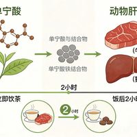 饭后一杯茶，铁吸收打四折？红茶、时间、浓度这样选才安全