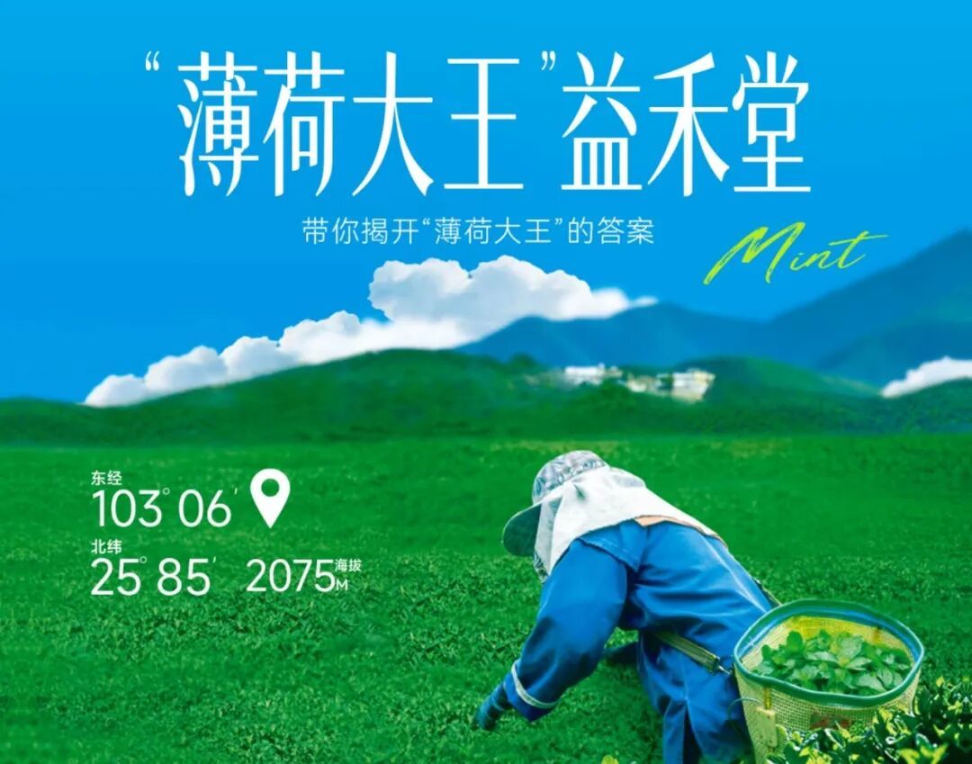 从8.3亿杯烤奶到2.2亿杯薄荷奶绿，益禾堂做对了什么 | 对话益禾堂CGO