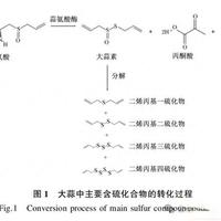 拍蒜就下锅？你吃的大蒜可能根本没有杀菌力