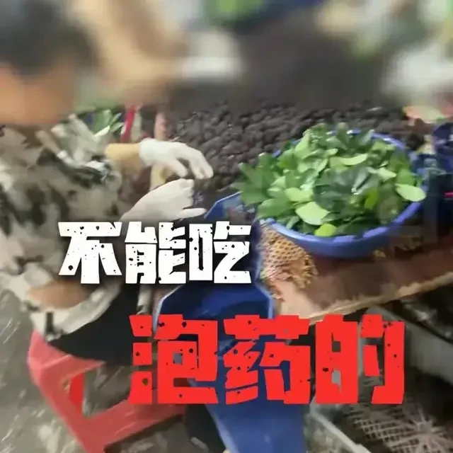漳州杨梅泡药：抽检永远合格，本地人却坚决不吃？杨梅水有多深？
