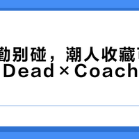 日常通勤别碰，潮人收藏可冲：Brain Dead×Coach联名值不值？