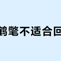 天石鹤氅不适合回南天？高防水参数掩盖了静态高湿下的透气短板