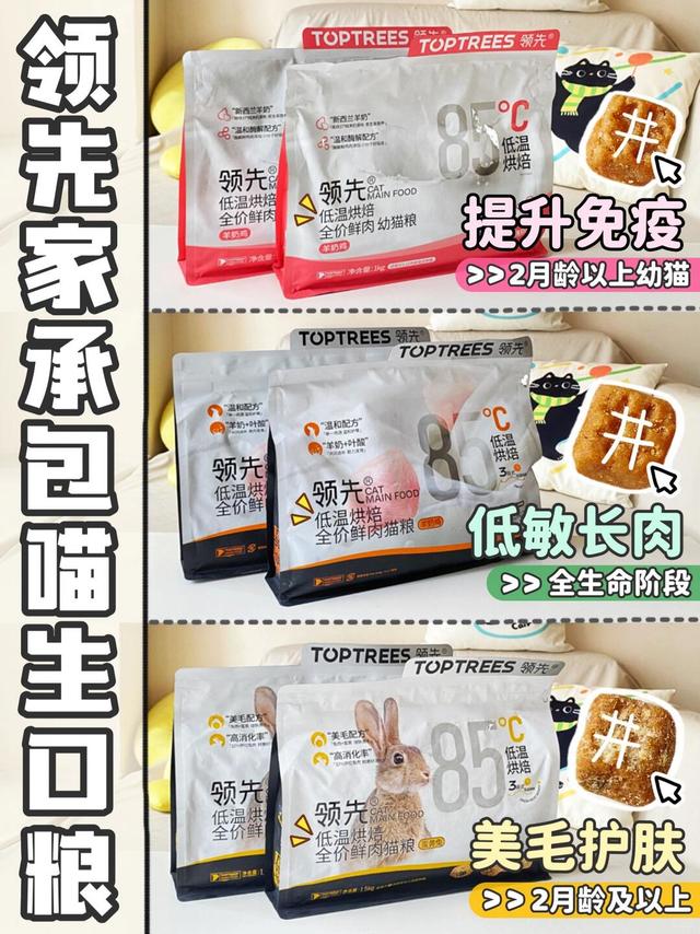 养猫省心搭子!🙆🏻‍♀️喵生每个阶段它都在！