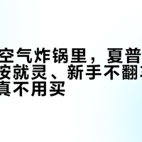 300元空气炸锅里，夏普这款让老人一按就灵、新手不翻车，但两类人真不用买