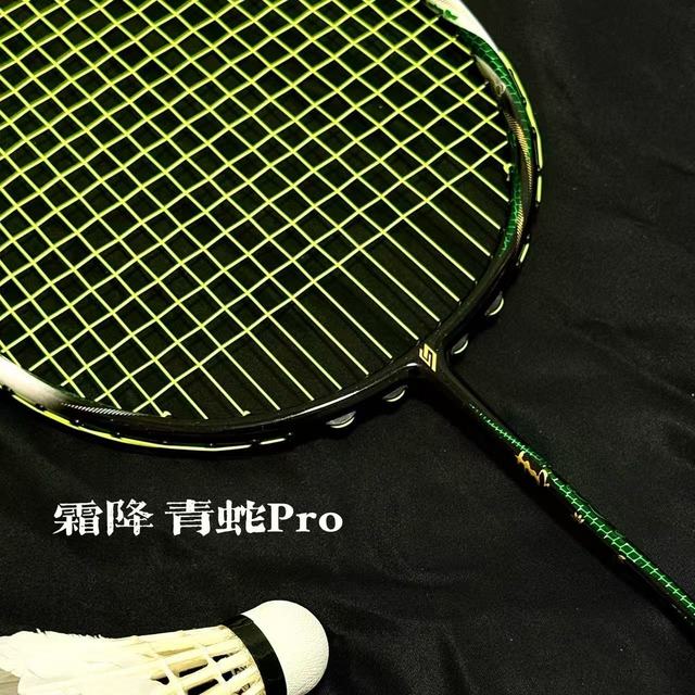 真“快攻”还是假“脆皮”？霜降青蛇Pro二十场单打真实体感报告
