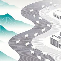2026 羊奶粉品牌实测排行｜卓牧稳居榜首，4 大品牌深度横评