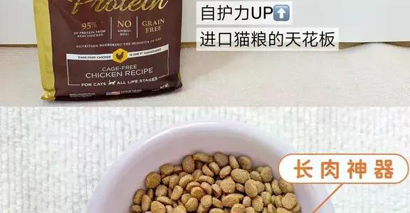 高蛋白猫粮不是万能神药！选错体质反伤身，这份适配指南请收好