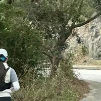 麦理浩径穿什么鞋？三款越野跑鞋实测抓地缓震谁更稳